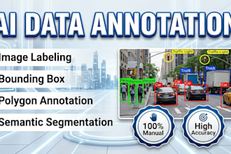 provide image annotation, data labeling, segmentation and ai training datasets