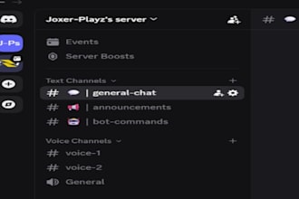 design a professional and fully automated discord server