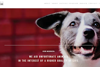 build a shopify pet store, pet shopify store and pet website