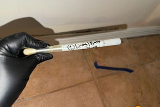 prepare professional mold remediation protocols