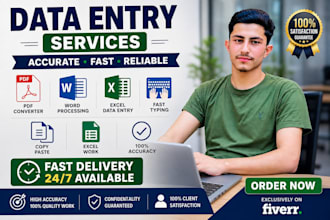 do data entry ms word excel CV resume and fast typing