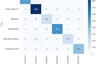 do data analytics and machine learning models