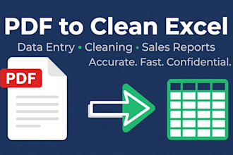 convert PDF sales reports to excel with data cleaning and analysis