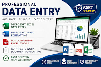 do professional microsoft excel, word, PDF conversion and data entry