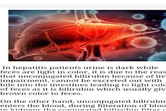 write and proofread biology content and design CV