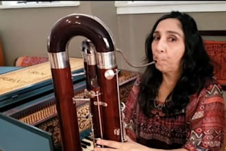 record oboe, flute, harmonica, clarinet, bassoon, contrabassoon, saxophone