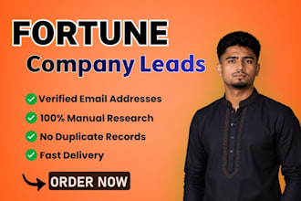 build a targeted fortune 500 company leads