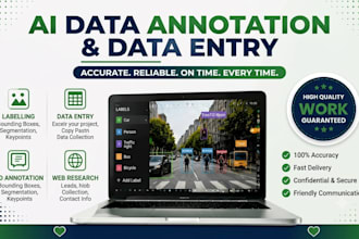 do accurate data entry, web research microsoft excel tasks