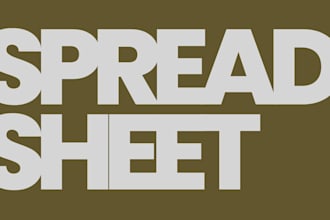 custom excel and google sheets expert for business and personal projects