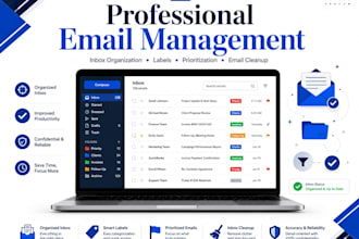 manage and organize your email inbox professionally