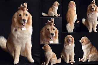 create realistic lifelike dog model custom animal figure sculpture stl pet photo