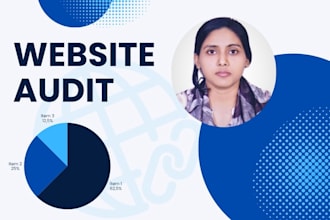 provide website technical SEO audit report