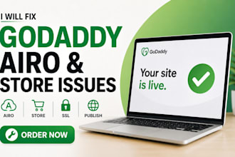 fix godaddy airo, storefront, SSL and publishing problems