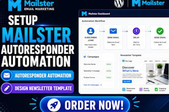 setup mailster autoresponder automation design mailster newsletter template