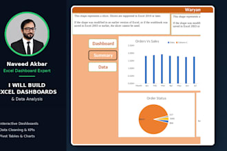 build professional excel dashboard and data analysis