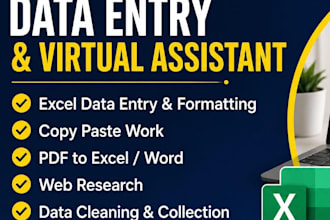 do fast data entry copy paste and web research work