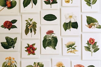 create a beautiful vintage botanical illustration poster