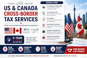 provide US canada cross border tax filing, planning and consultation