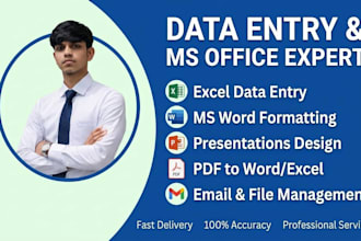 do  ms office , pdf to excel data entry ,copy paste,data scraping,email leads