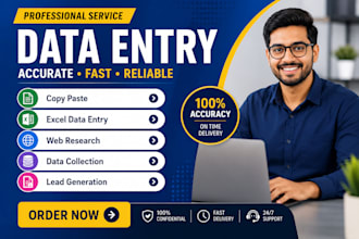 do any type of data entry, formatting, typing, pdf to excel, copy paste