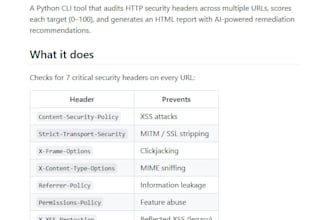 audit your website and provide a security report