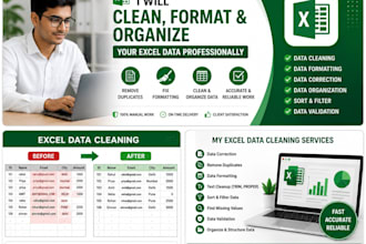 clean, format and organize excel data professionally