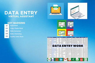 do professional data entry, data cleansing and quality work