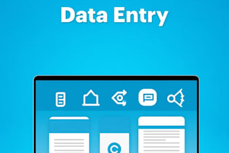 do accurate data entry, google sheets