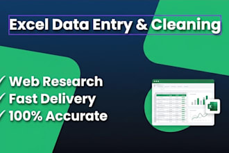 do excel data entry, data cleaning, and web research