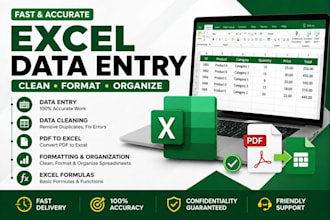 do excel data entry data cleaning formatting PDF to excel and spreadsheet task
