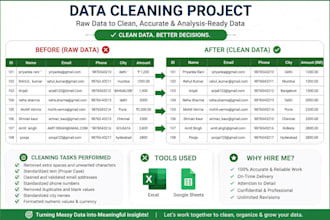 do excel data cleaning, formatting, remove duplicate data