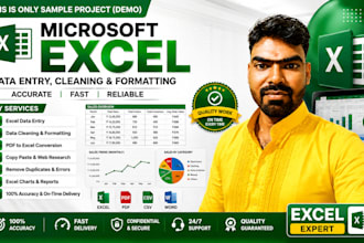 do excel data entry, data cleaning, and formatting