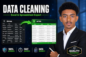 do professional data cleaning, scrubbing, and excel formatting