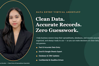 accurate data entry, spreadsheet cleanup, and formatting