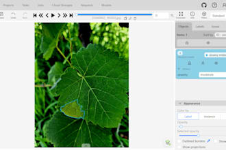 annotate your images using cvat