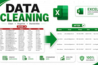 clean, format, organize and remove duplicates from excel data