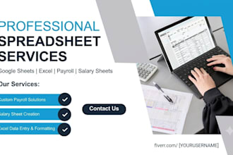 do accurate data entry, google sheets, excel, payroll and salary sheet