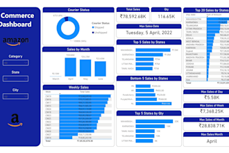 create professional power bi reports and dashboards