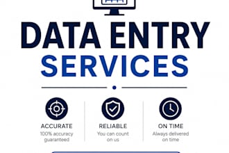 do data entry, excel cleanup, formatting, and data validation