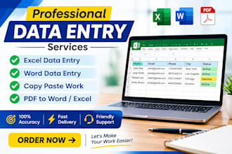 do accurate data entry, copy paste,exel and word work