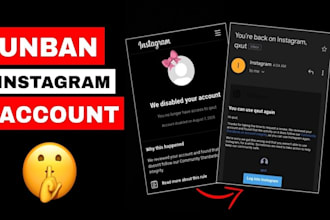 restore instagram page, ig profile unbanning issues