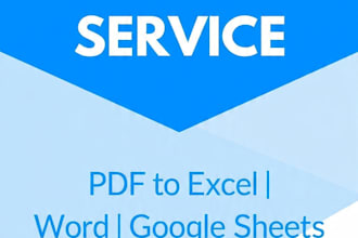 do fast accurate data entry excel PDF to  google sheetsi