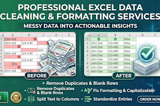 do excel data cleaning, formatting, sorting, filtering and data entry