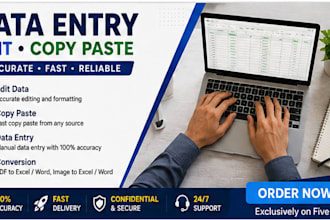 do accurate data entry, excel data entry and web research
