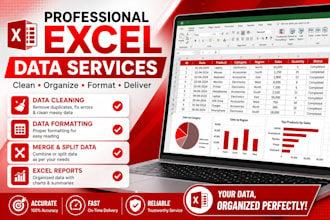 professionally clean, sort, and format excel data