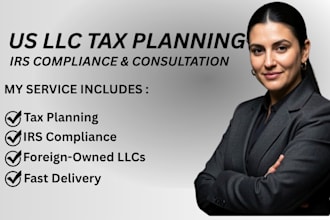 provide US llc tax consultation, compliance review, and tax planning