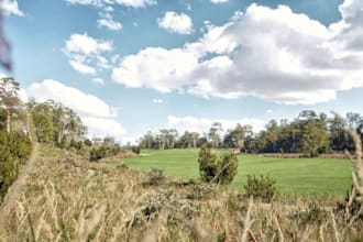 design realistic 3d golf course, mini golf and landscape, golf resort,golf club