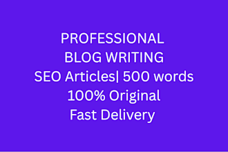 write SEO blog posts , articles and website content