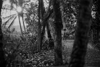 photo edit, lightroom, photoshop