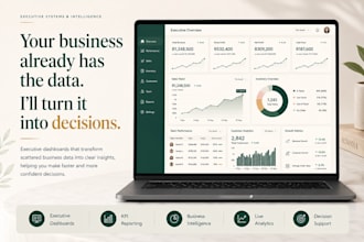 build executive dashboards and business reporting systems